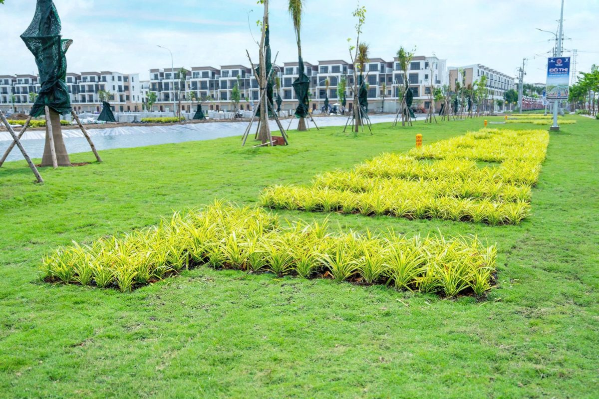 đầu tư dự án the 826 ec